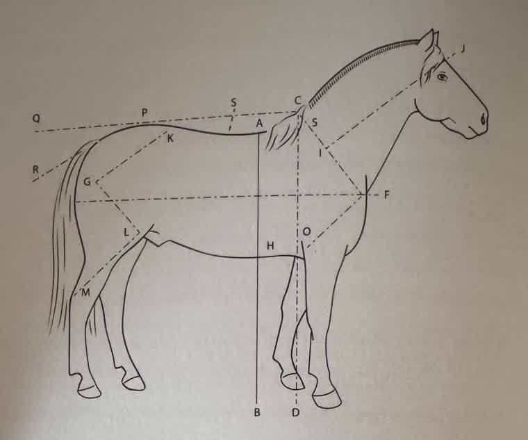 Fig. 01 Referenz